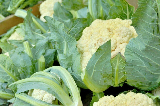 400+SNOWBALL CAUILFLOWER Seeds Organic Heirloom Vegetable Garden Container Easy