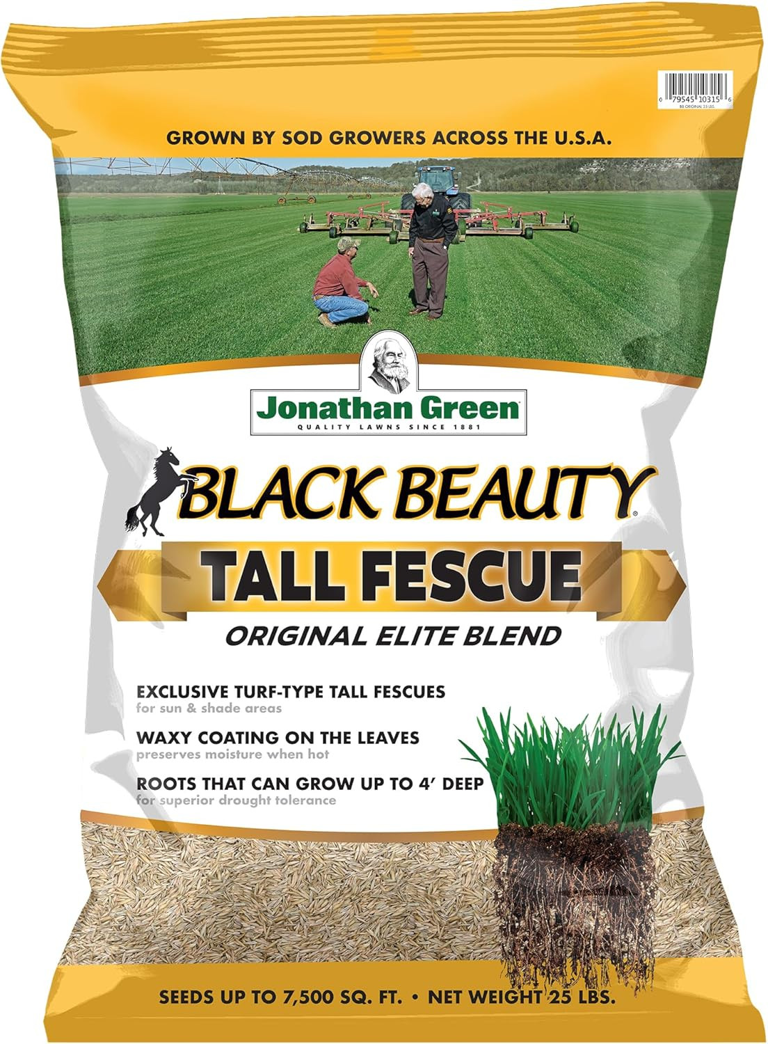 (10315) Black Beauty Original Grass Seed Blend – Cool Season Lawn Seed (25 Lb)