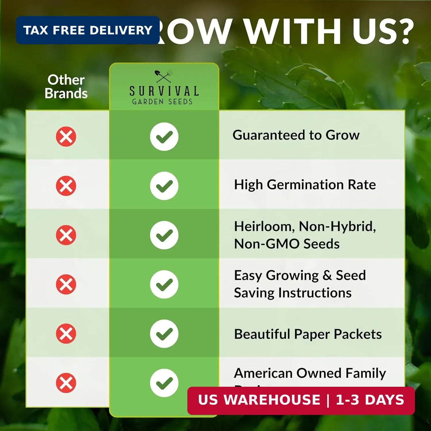 10 Power Greens Seed Collection – Heirloom Collards, Mustard, Swiss Chard, Spina