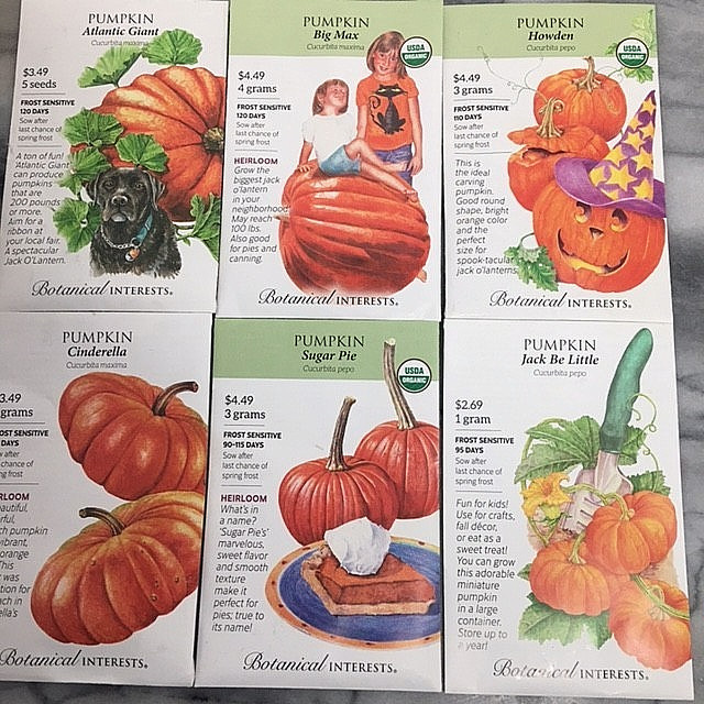 Botanical Interests Seeds Pumpkins Large and Small Lot of Six 12/25