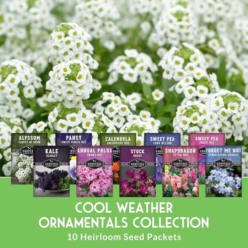 Cool Season Flower Seeds for Planting – 10 Variety Heirloom Ornamentals for