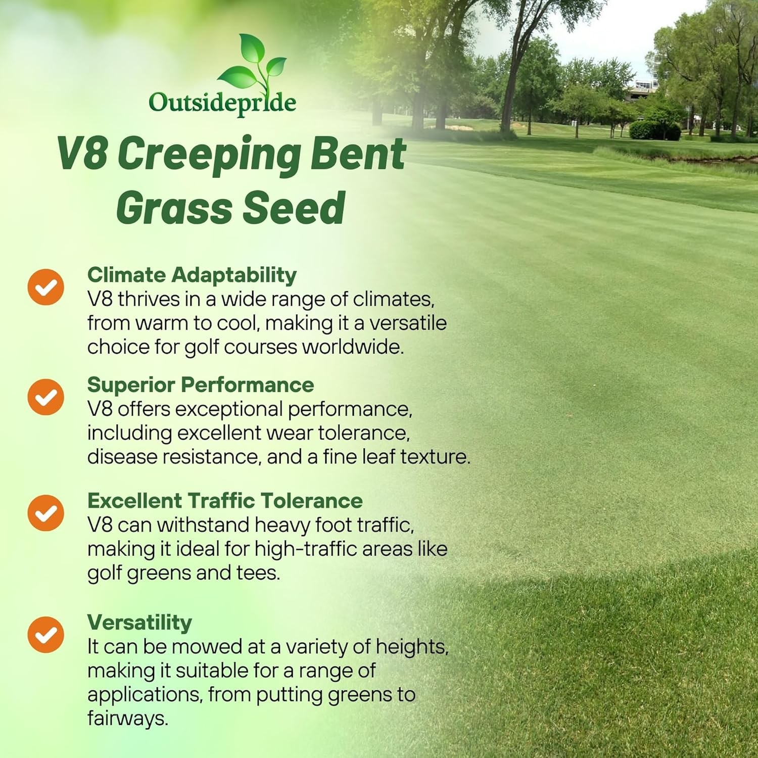 1 LB V8 Creeping Bent Grass Seed For Golf Courses & Putting Greens