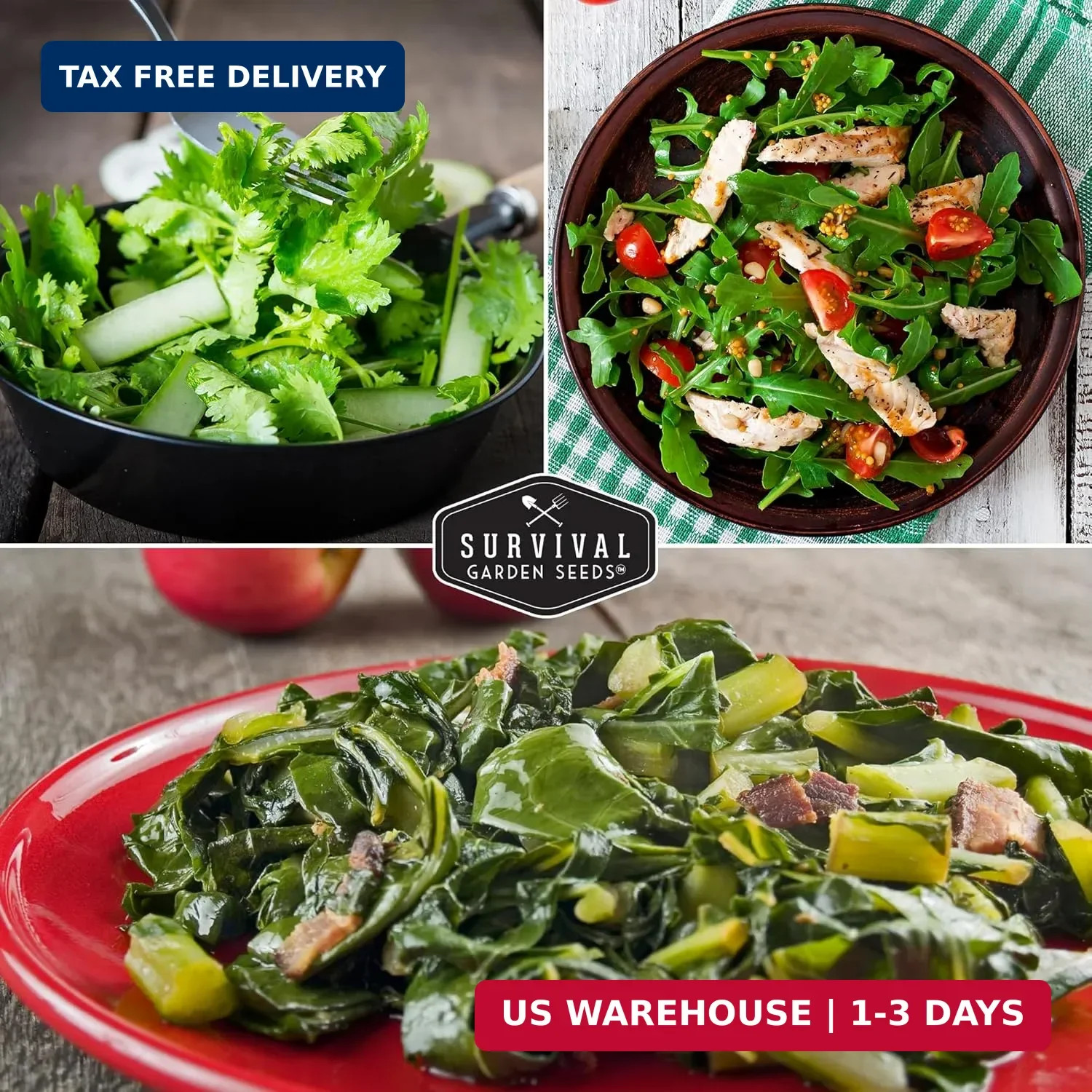 10 Power Greens Seed Collection – Heirloom Collards, Mustard, Swiss Chard, Spina