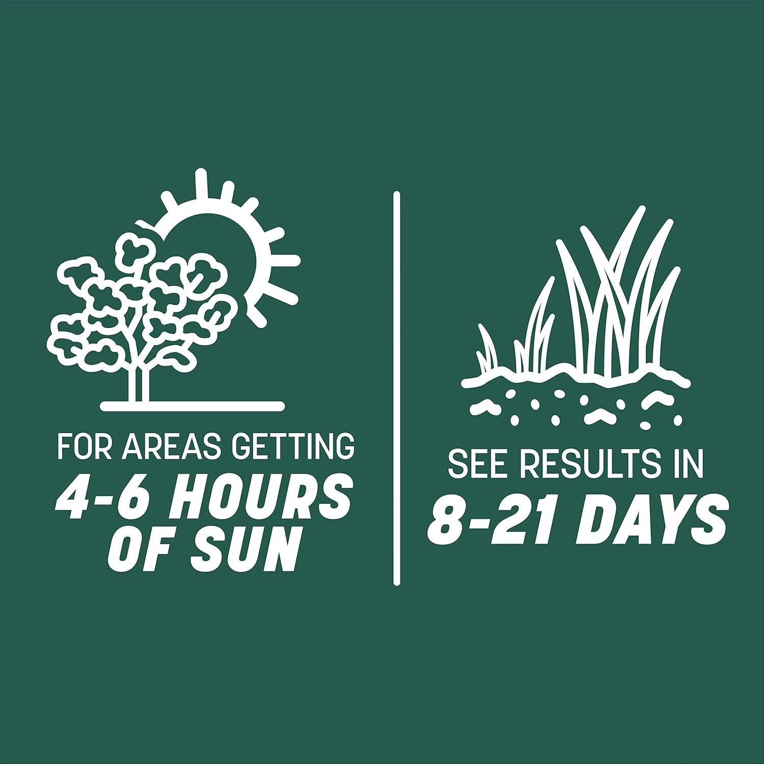 Smart Seed Sun and Shade Mix 7 lb – Lush Grass for All Conditions