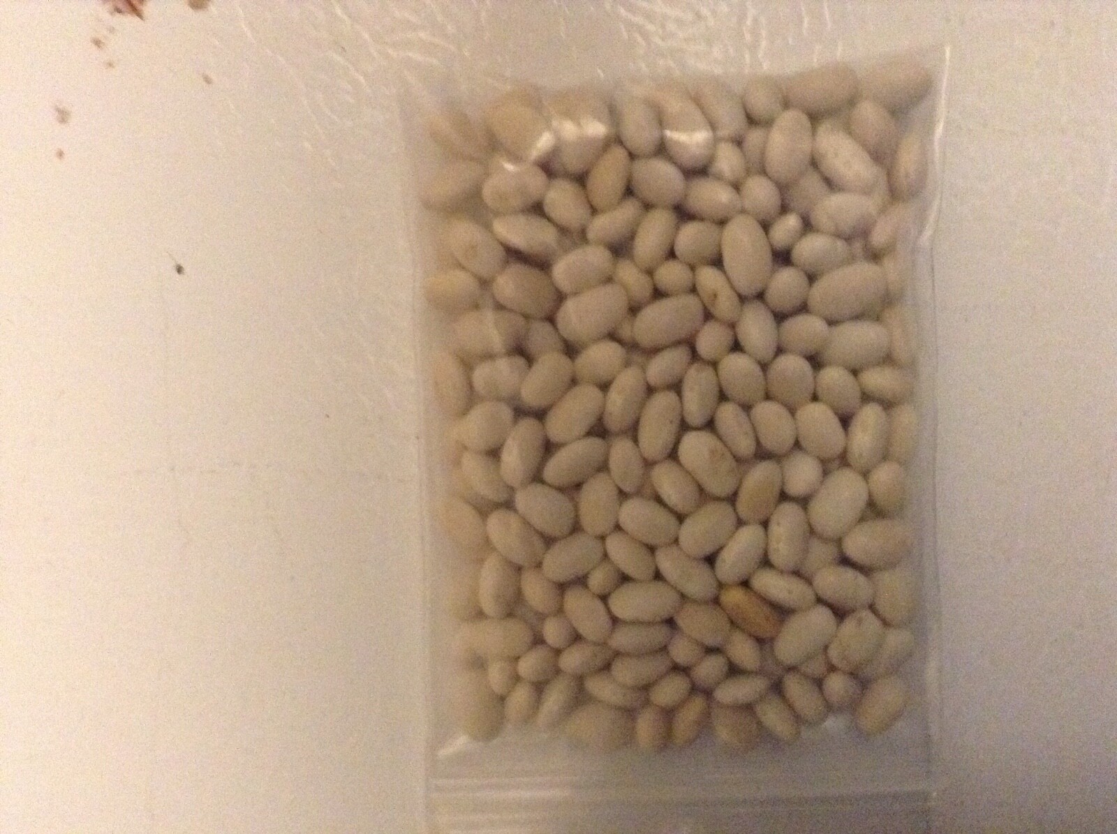 White Half Runner Green Beans. FREE SHIPPING. NON-GMO SEEDS. 400 count.