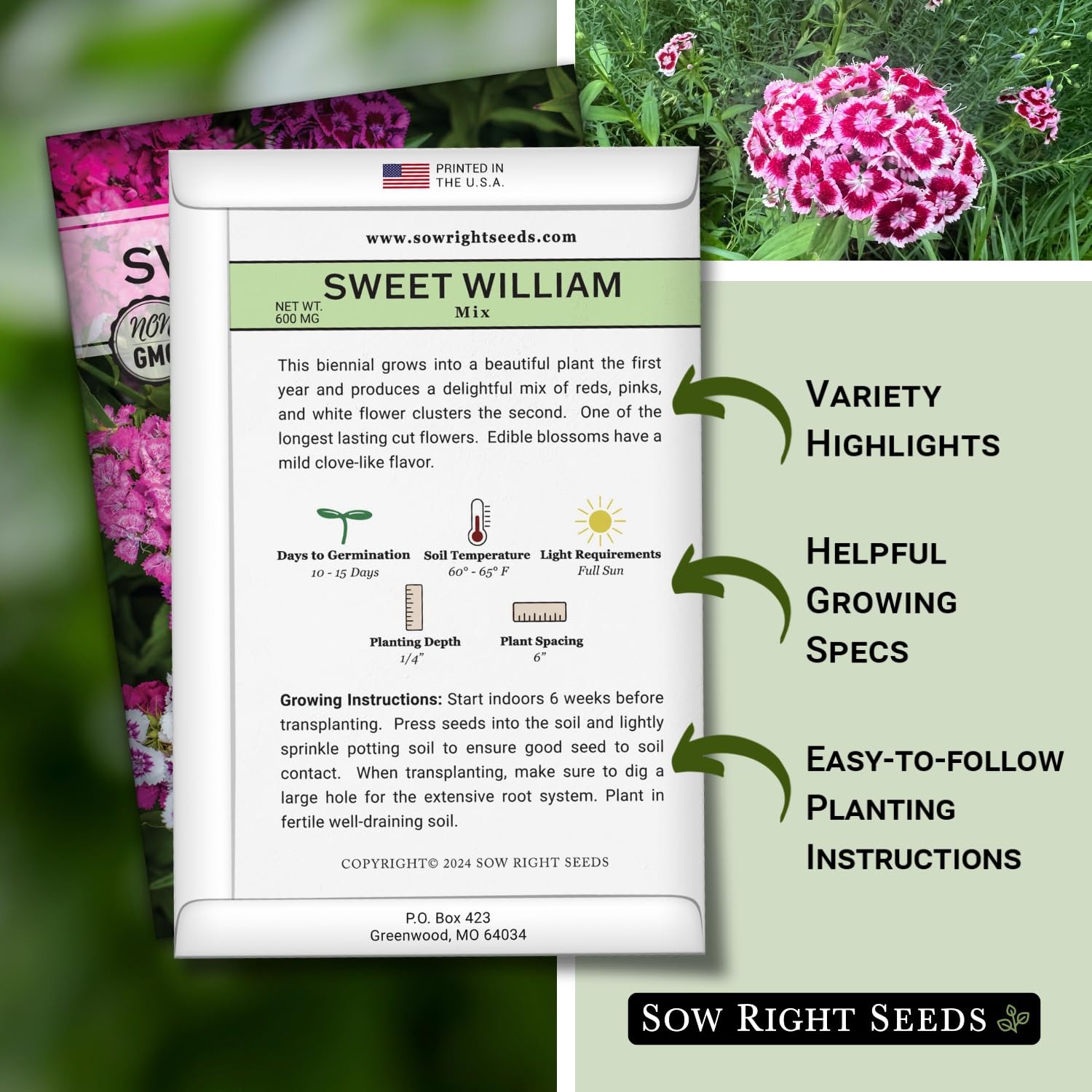 Sweet William Mix Flower Seeds Biennial Non GMO Heirloom Packet Garden Blooms
