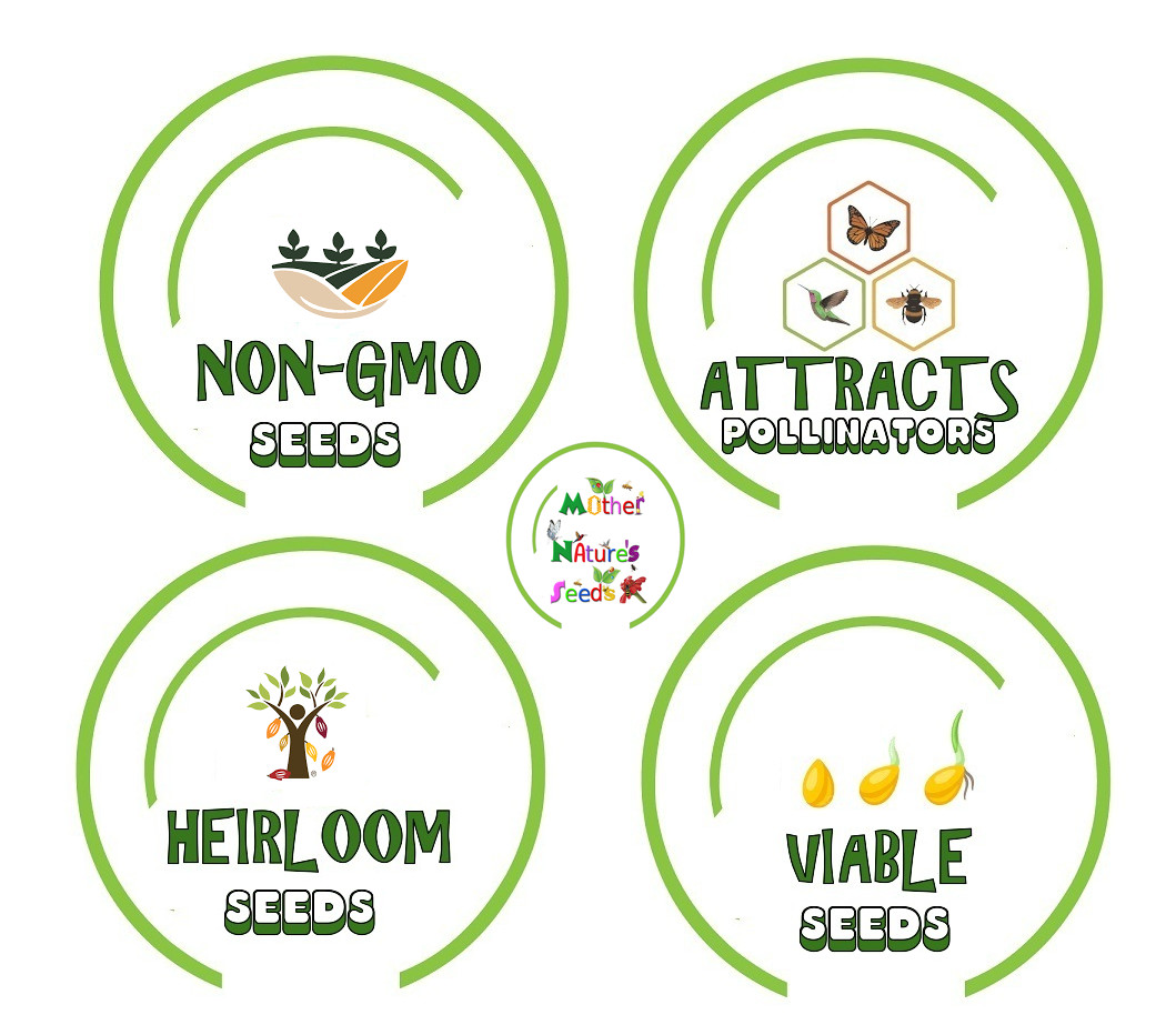 Four O’Clock BI-COLOR Mixed Colors Annual/Perennial Heirloom Non-GMO 25 Seeds!