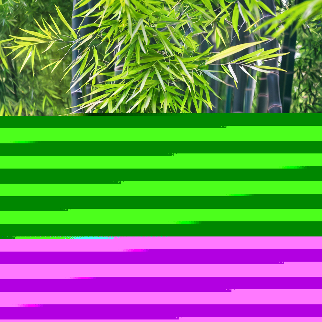 50 Bamboo Seeds Privacy Plant Garden Clumping Shade Screen ” Purple Timor”