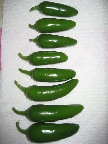 150+ Jalapeno Pepper Seeds | TAM | NON-GMO Pepper | Heirloom Seeds