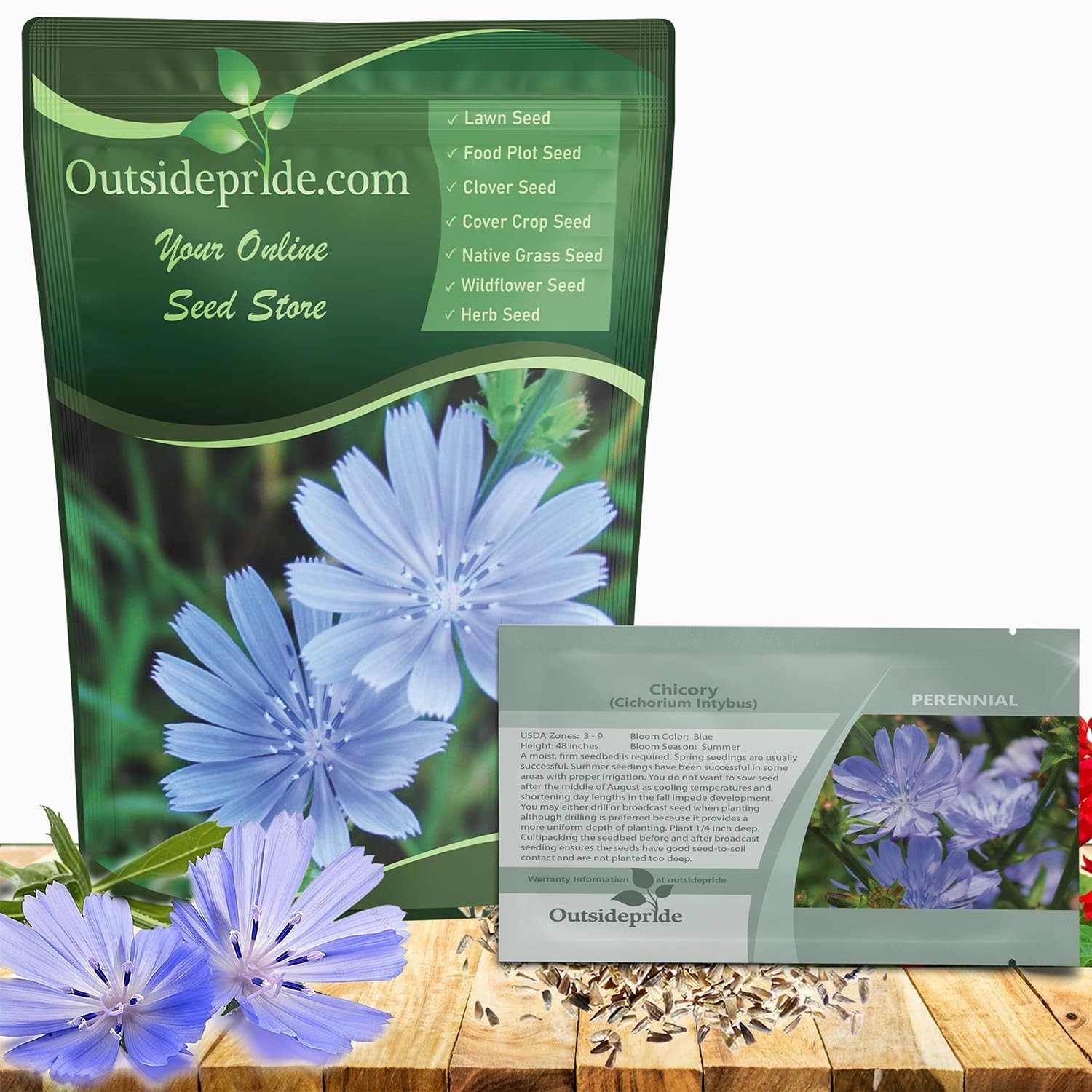 Chicory Seeds For Planting Perennial Drought Tolerant 5000 Pcs Blue Blooms Pastu