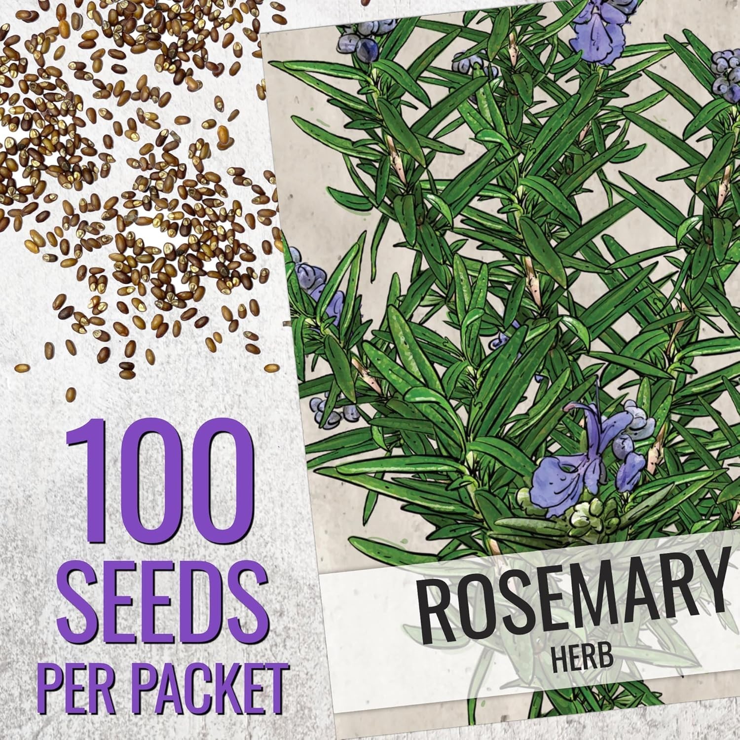 Heirloom Rosemary Seeds – Non-GMO with Medicinal & Culinary Benefits, 100 Seeds
