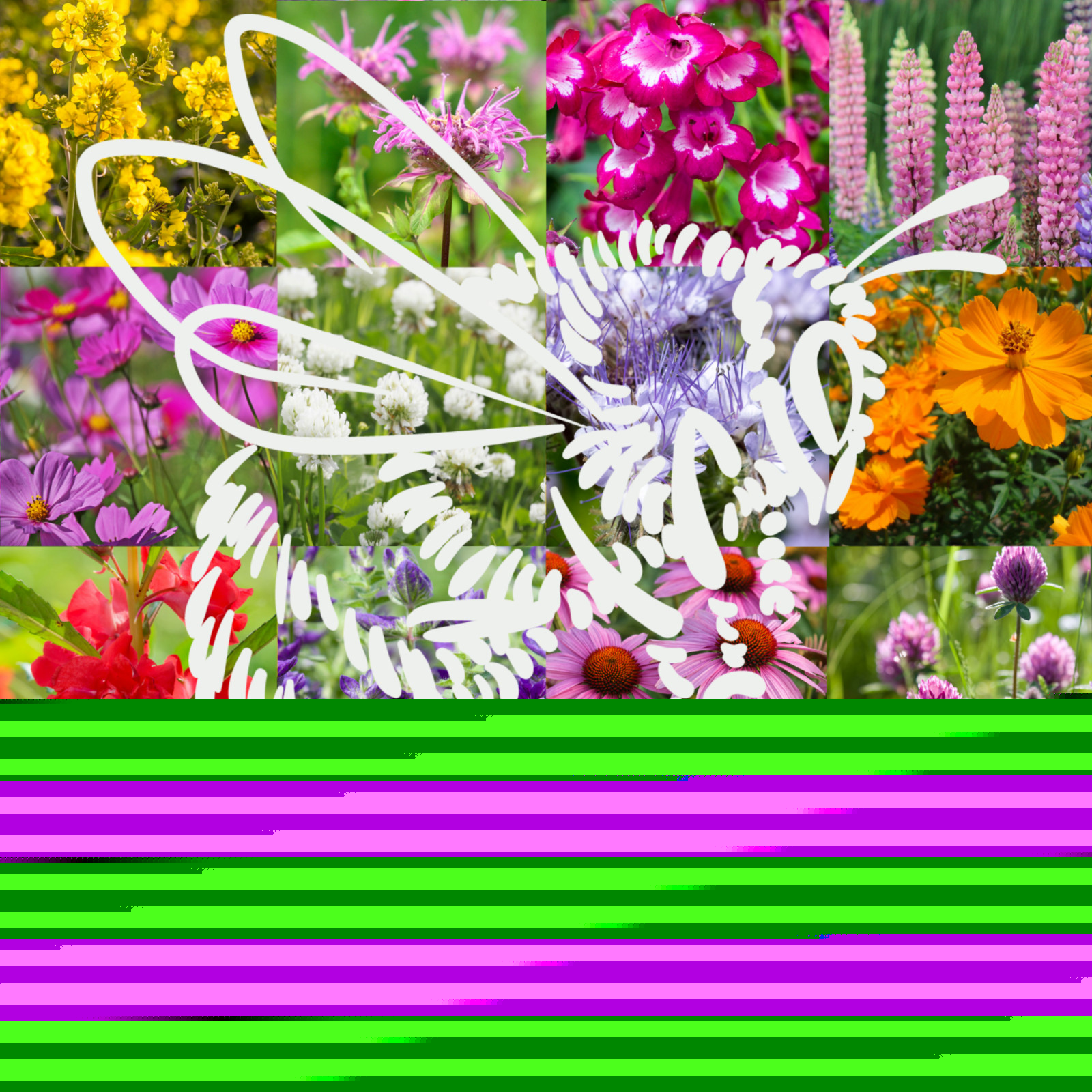 Birds, Bees, Butterflies, Pollinators Bulk Wildflower Seed Mix