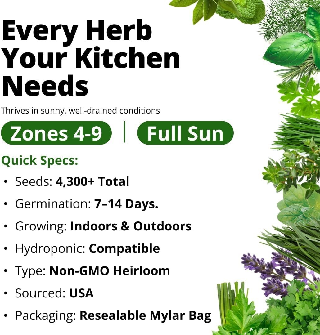 Complete Herb Garden Kit – 10/15 Heirloom Seeds for Home & Hydroponic Growth