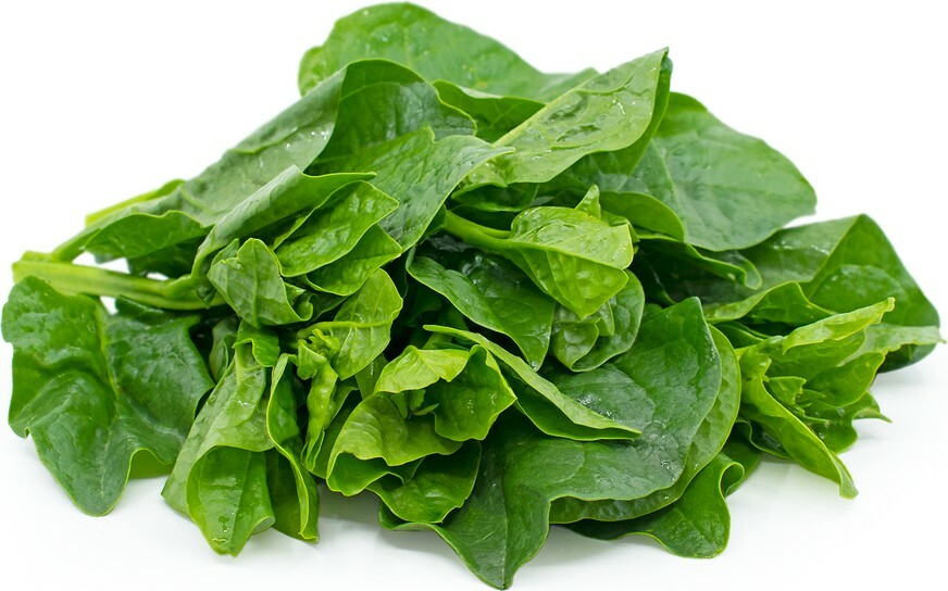 750+Malabar Spinach (Da-Ye) seeds,easy growing,healthy vegetables, USA seller 