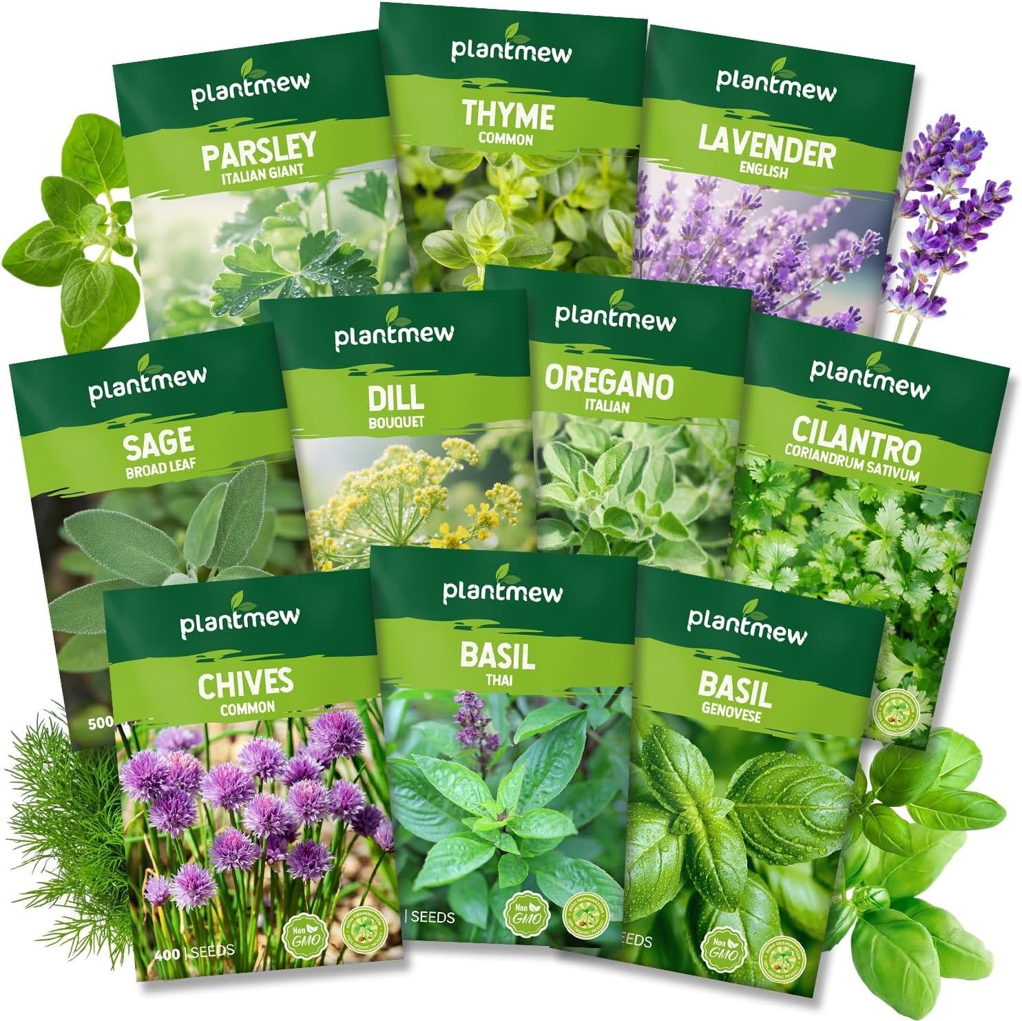 Assorted Non-GMO Herb Seed Pack – 10 Heirloom Varieties for Gardening