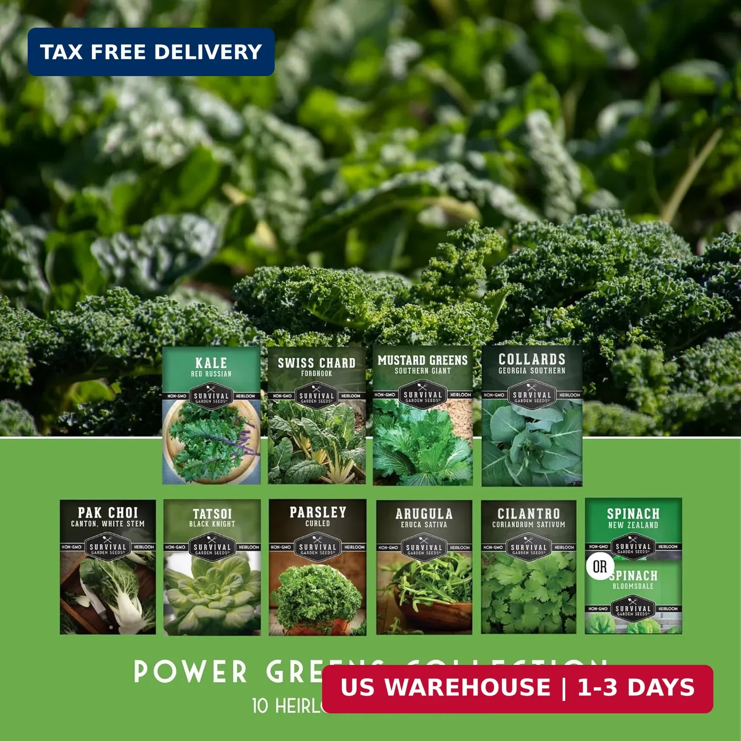 10 Power Greens Seed Collection – Heirloom Collards, Mustard, Swiss Chard, Spina