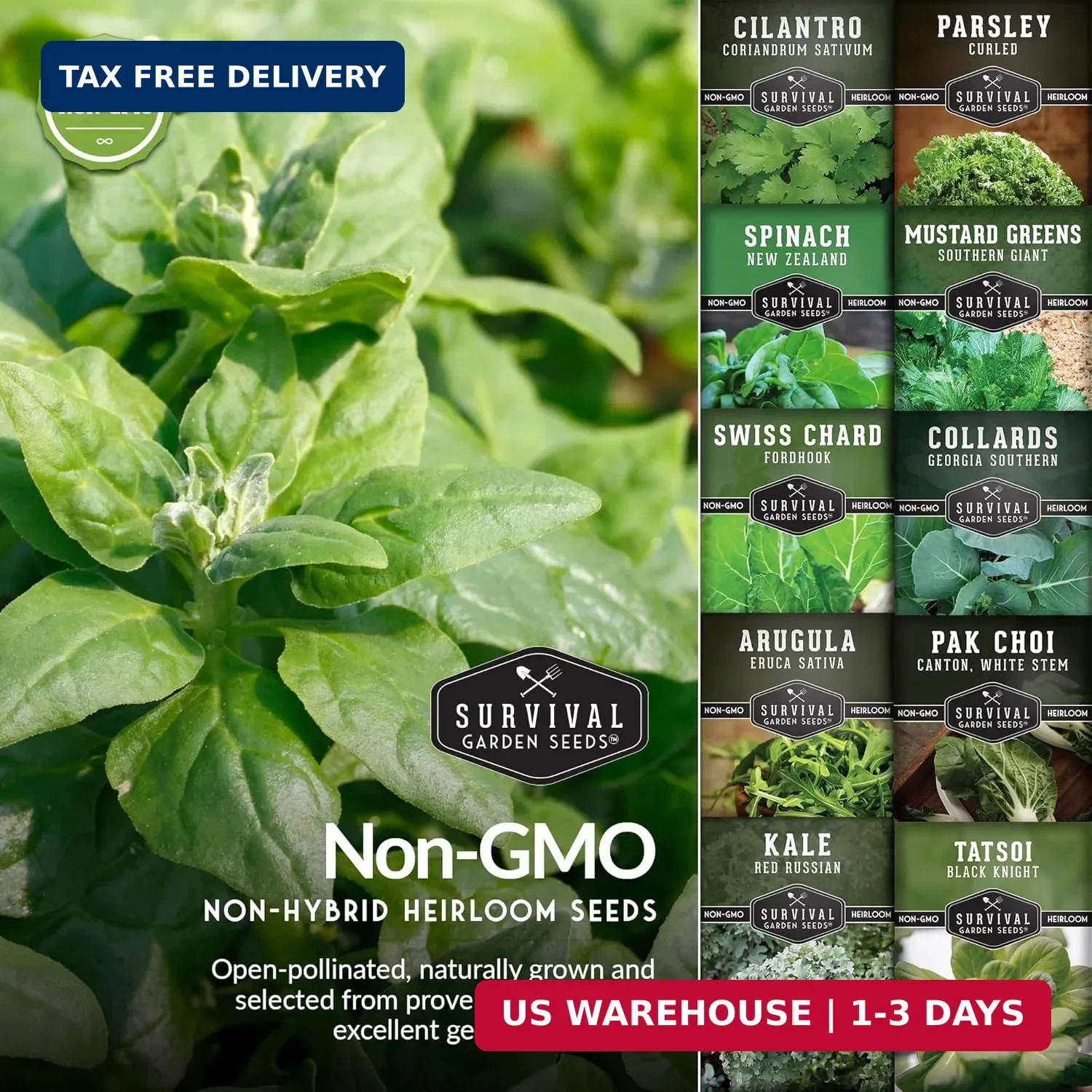 10 Power Greens Seed Collection – Heirloom Collards, Mustard, Swiss Chard, Spina