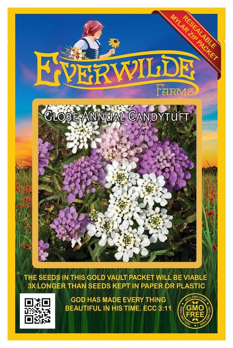 500 Globe Annual Candytuft Wildflower Seeds – Everwilde Farms Mylar Seed Packet