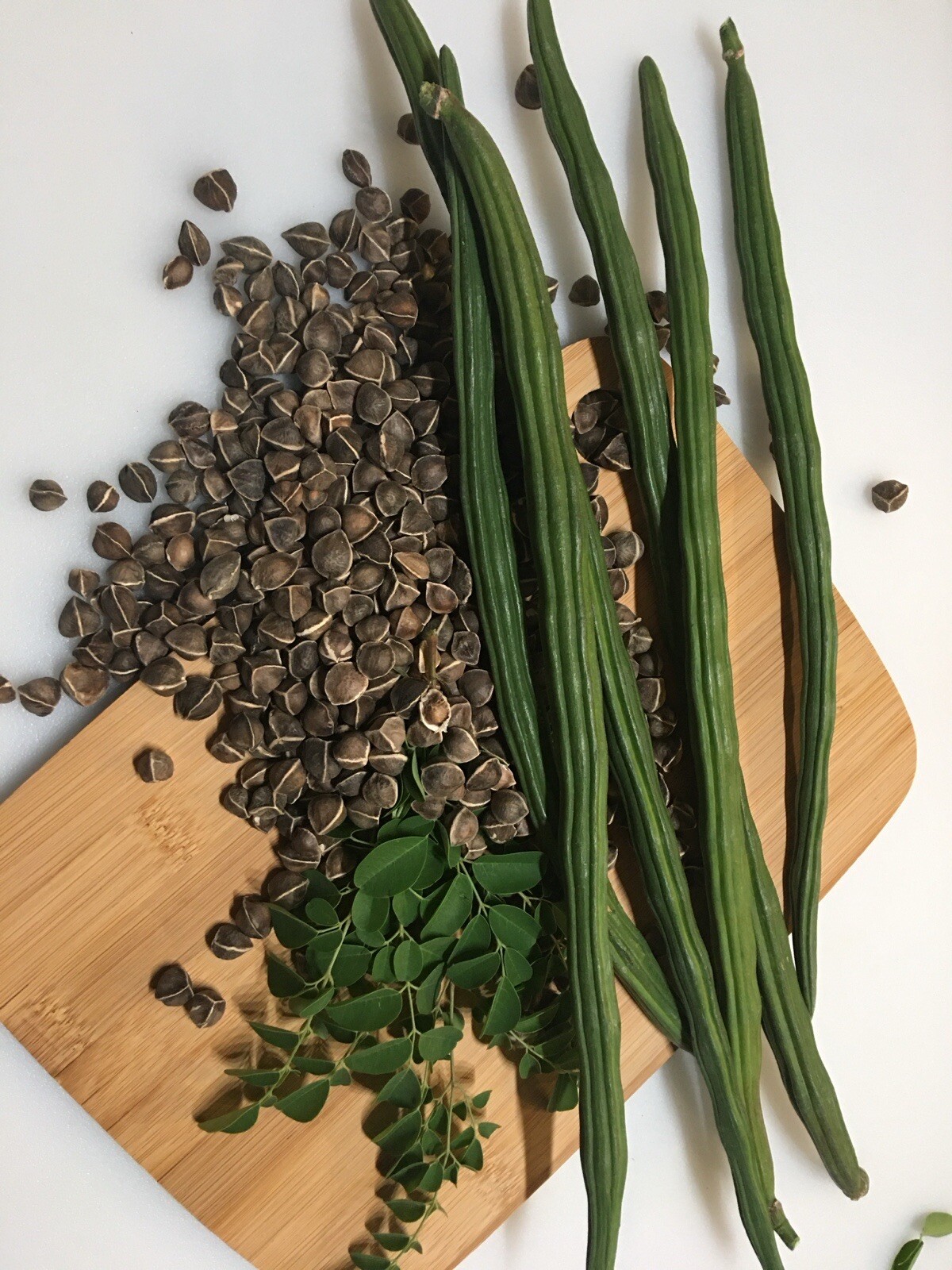 100+Organic Moringa Oleifera Drumstick Malunggay Seeds NON GMO Buy2get1free