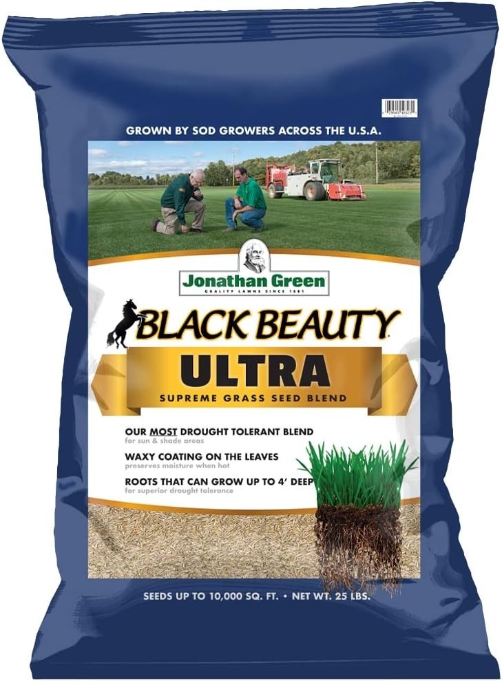 25 lb Black Beauty Grass Seed | Germinates in 7-14 Days, Dark Green Turf