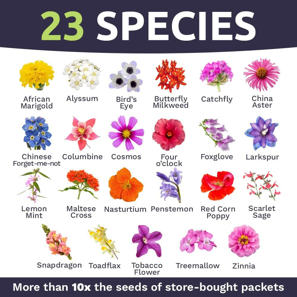 Bulk Wildflower Seeds Butterfly & Humming Bird Mix 1/4 Pound Bag 30,000 seeds
