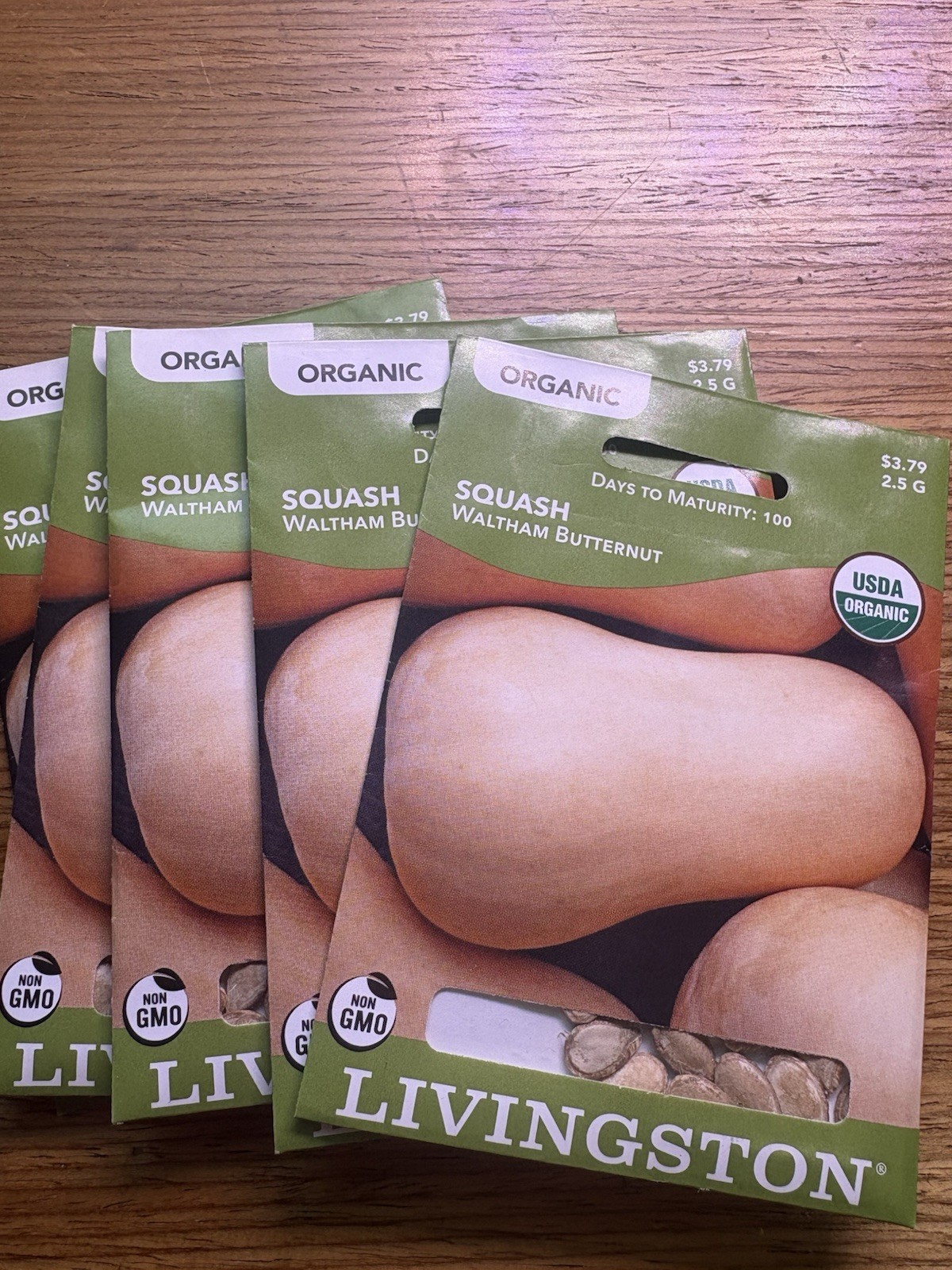 5 PACK Livingston Seed Company Waltham Butternut Organic Non-GMO Squash Seeds