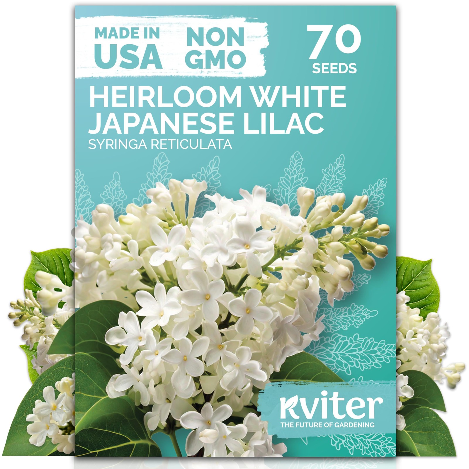 KVITER 70 White Lilac Seeds for Planting Outdoors (Syringa reticulata)