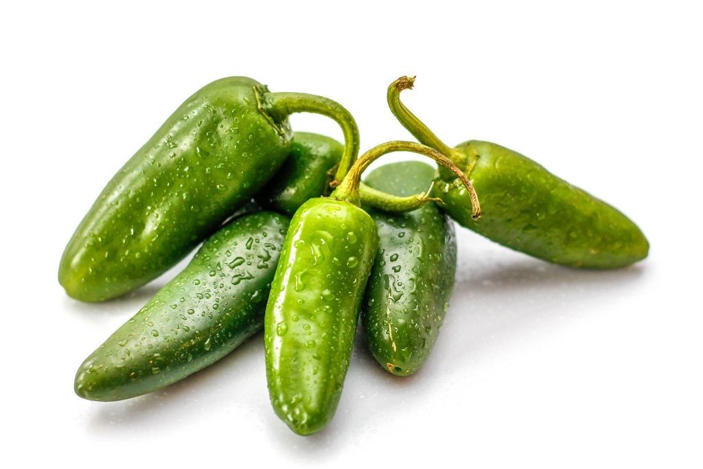 150+ Jalapeno Pepper Seeds | TAM | NON-GMO Pepper | Heirloom Seeds