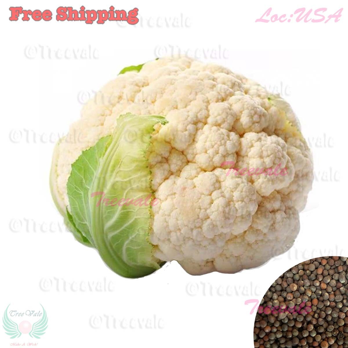 Cauliflower – Self Blanching Cauliflower seeds | NON-GMO, Vegetable Seeds