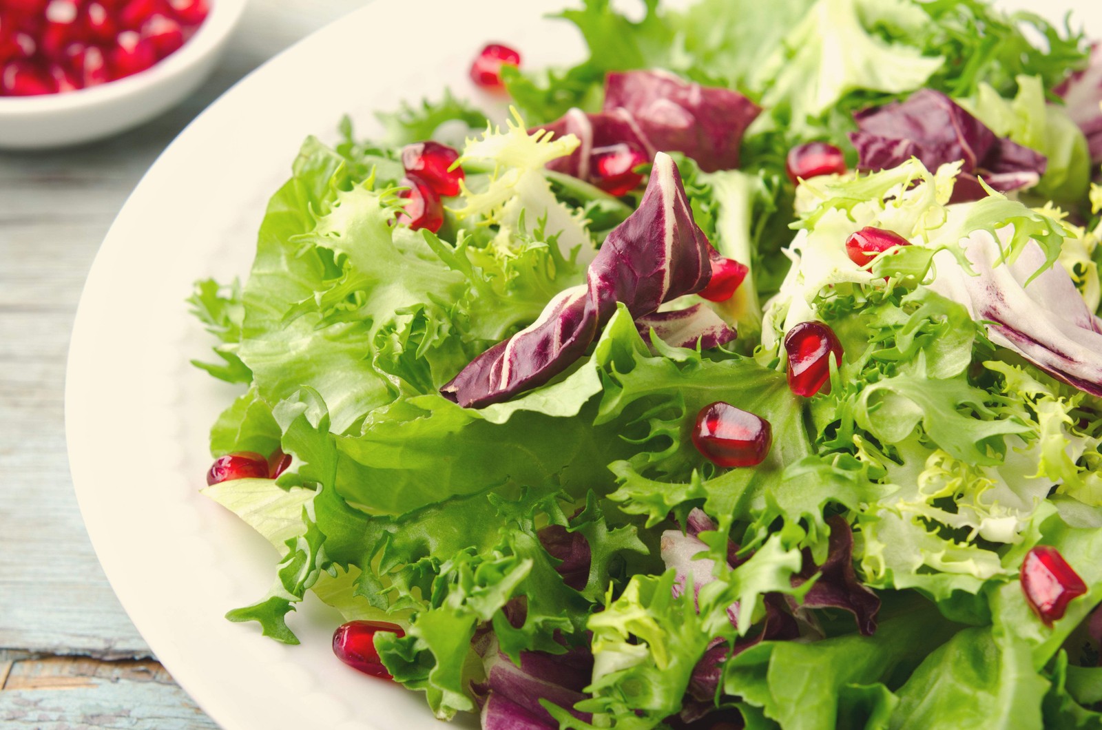 3000 GREEN CURLED ENDIVE (Moss, Salad, Escarole) Cichorium Endiva Veggie Seeds