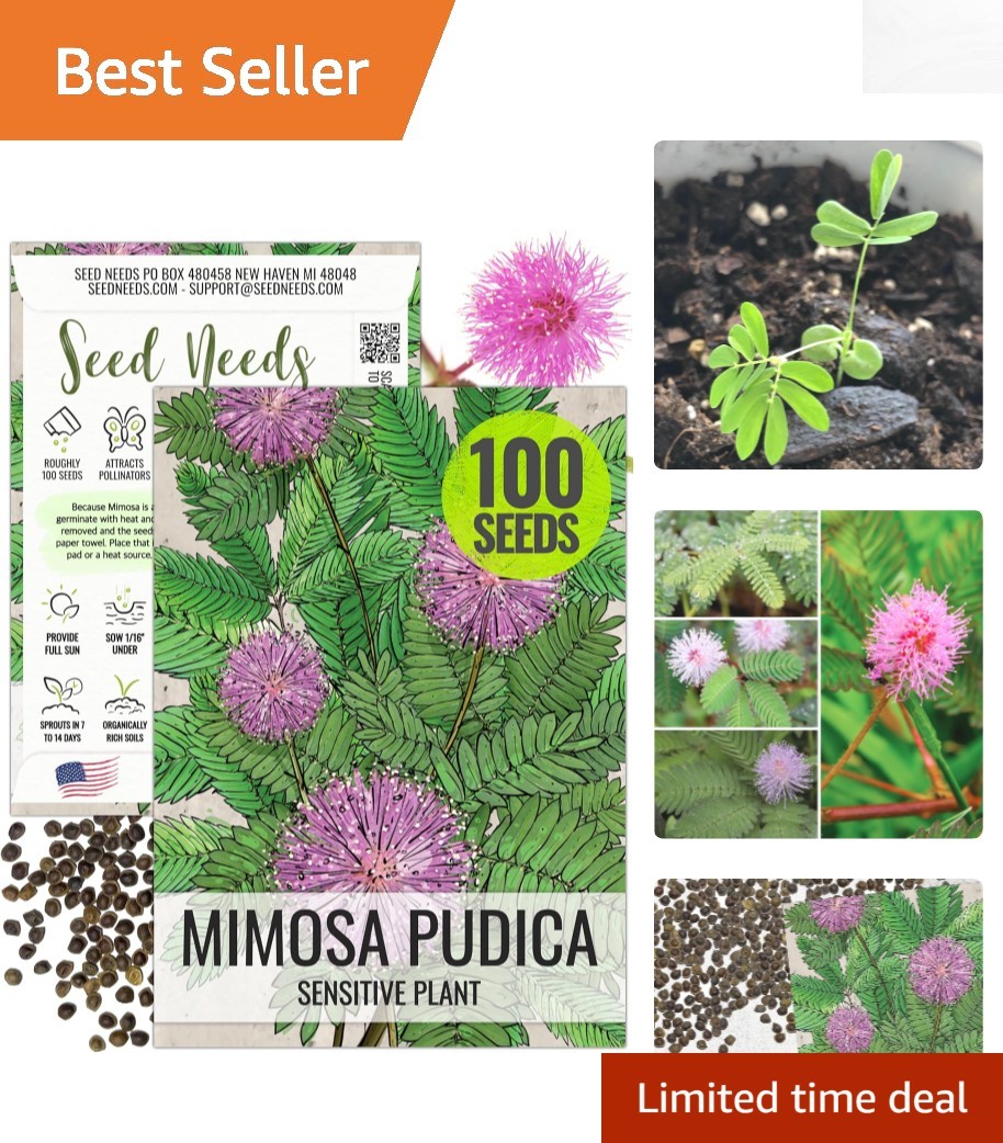 Mimosa Pudica Sensitive Plant Seeds – Heirloom Touch-Me-Not Blooms (100 pcs)