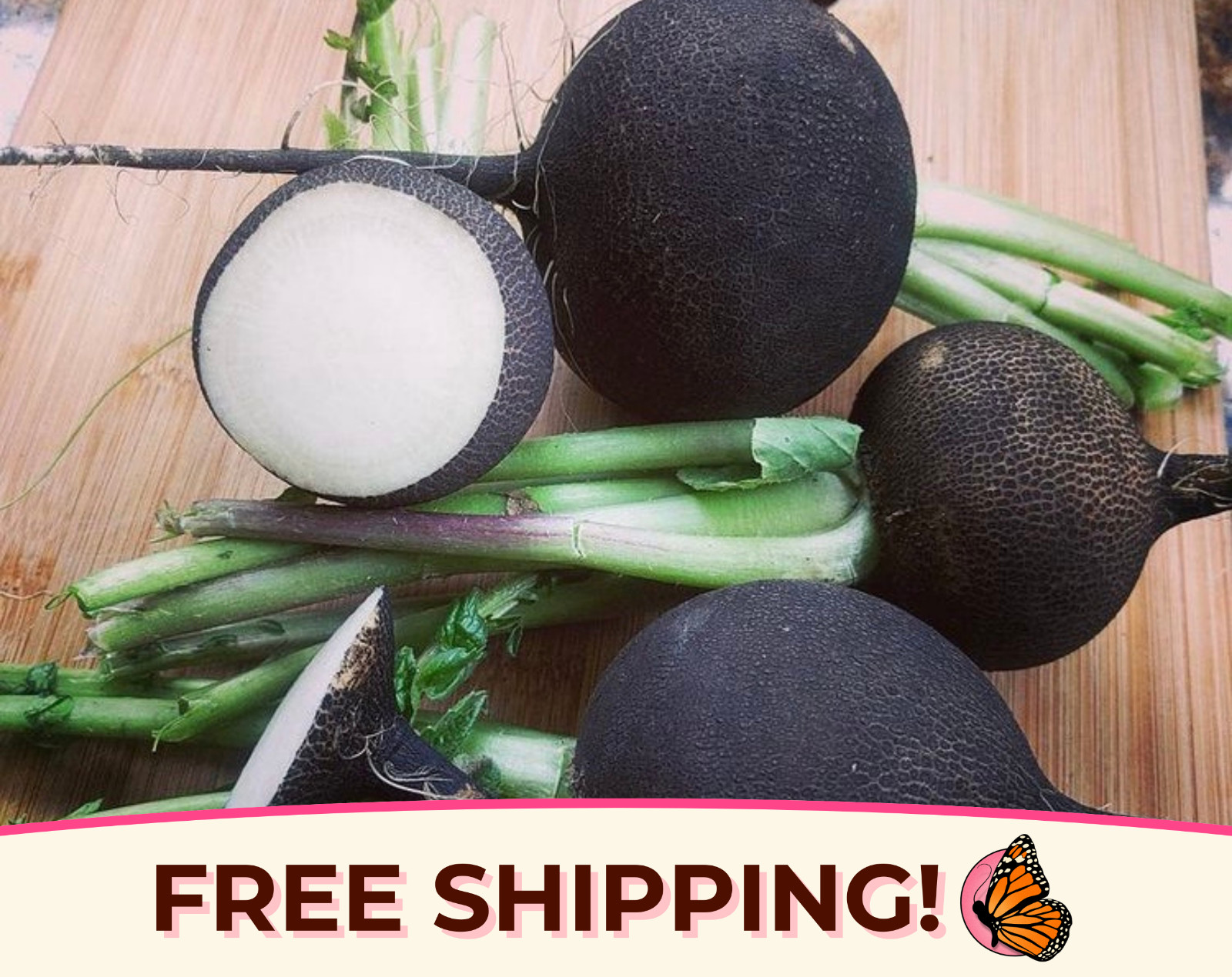 750+ Radish Seeds ‘Black Spanish Round’ | Heirloom, Non-GMO, Vegetable Gardening