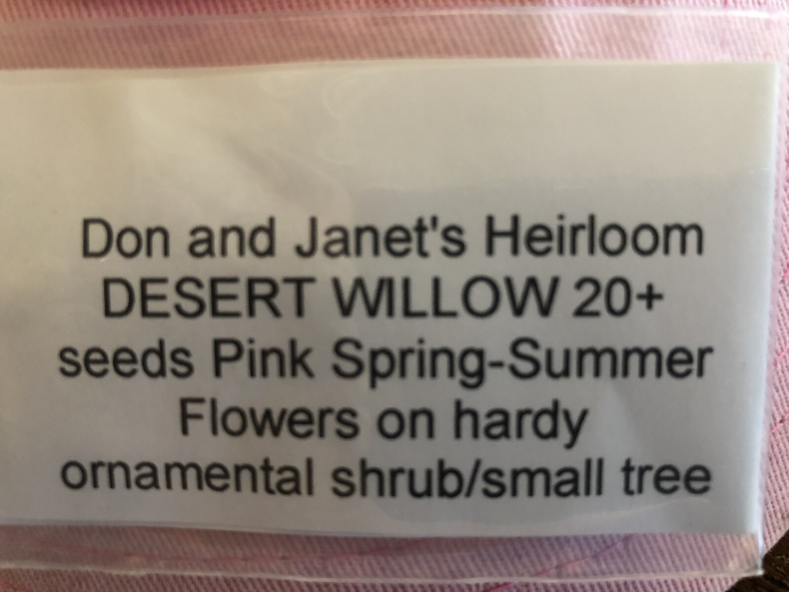 DESERT WILLOW TREE Seed, Edible Pink Flowering Shrub/tree, Home Grown, 15+ Seed