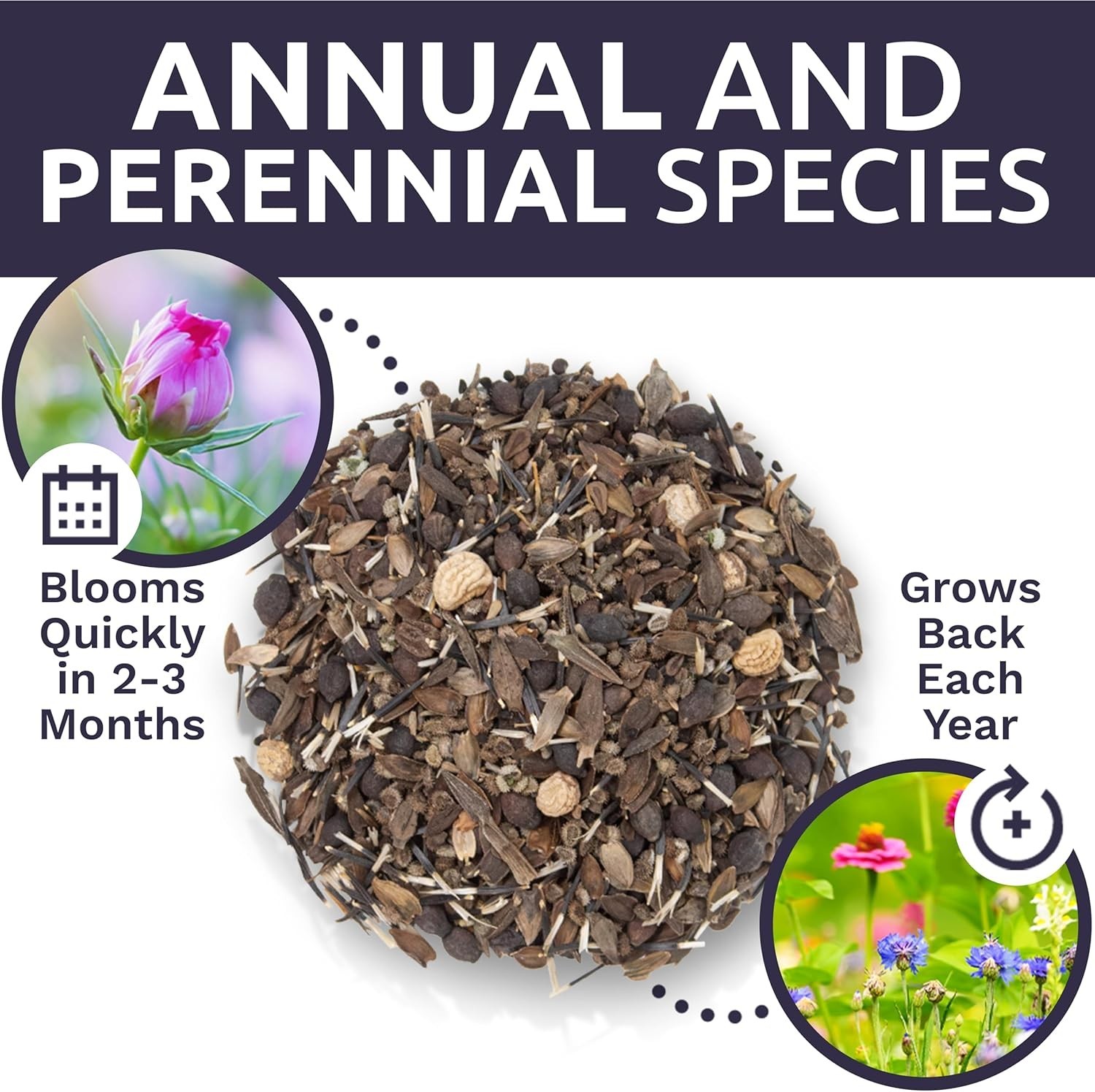 Wildflower Seeds Mix – 1lb Bag, 120K Seeds