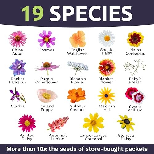 Cut Flower Garden Seeds – Bulk – Over 30,000 Fresh Open 1/4 Pound Bag
