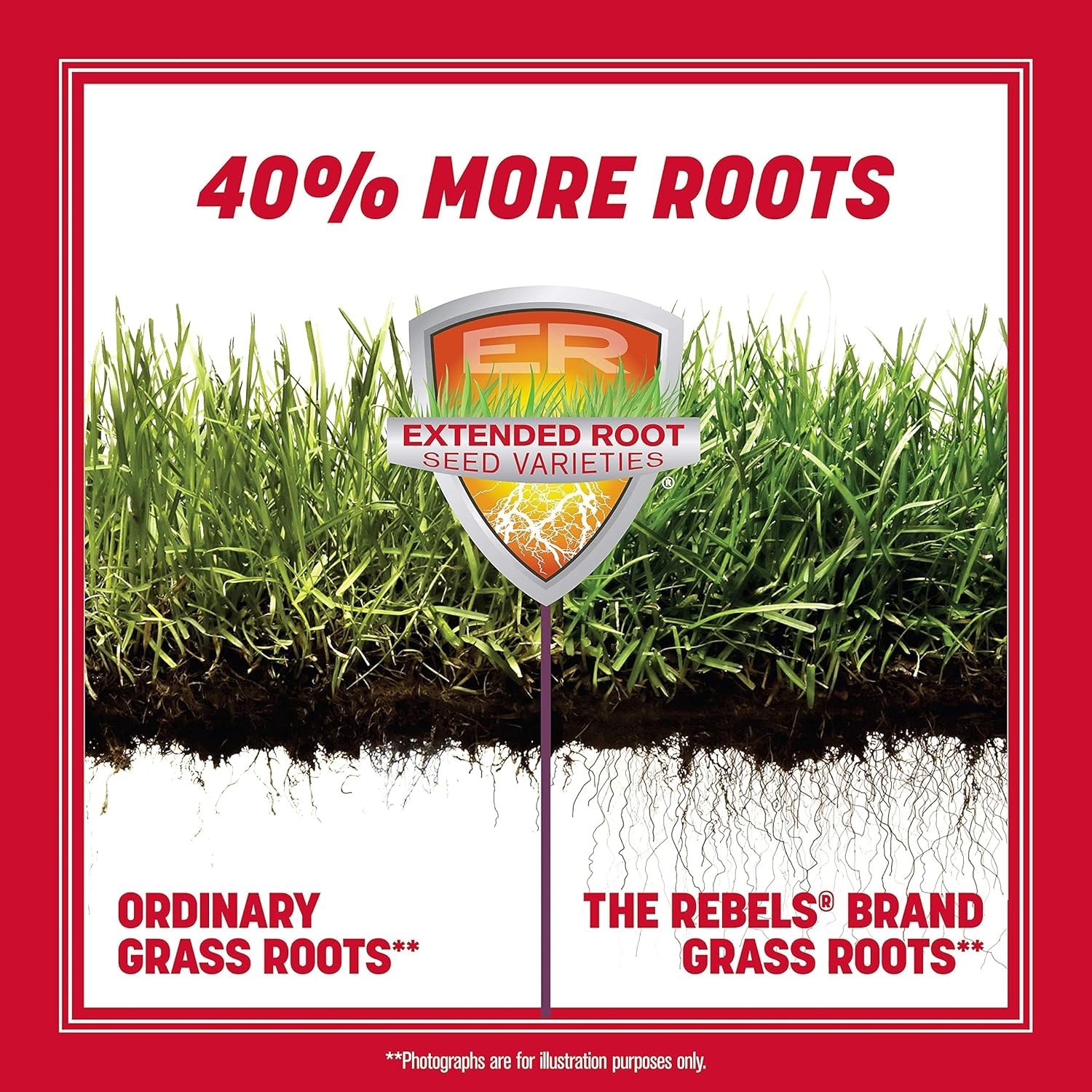 The Rebels Tall Fescue Grass Seed Mix, 7 lb – Drought Resistant for Strong Roots