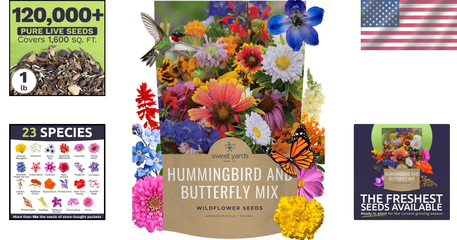 Wildflower Seeds Mix – 1lb Bag, 120K Seeds