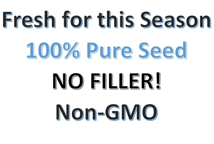 Nasturtium Seeds DWARF JEWEL MIX Beneficial to Gardens Edible Non-GMO 20 Seeds