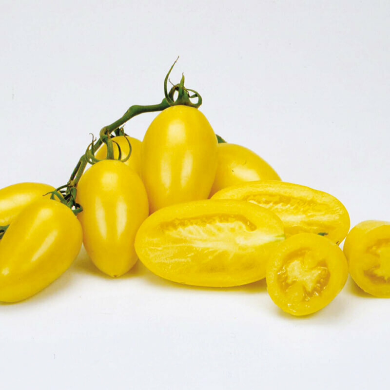 25 CREAM SAUSAGE TOMATO SEEDS HEIRLOOM FRESH HARVEST FOR 2024 GARDENS