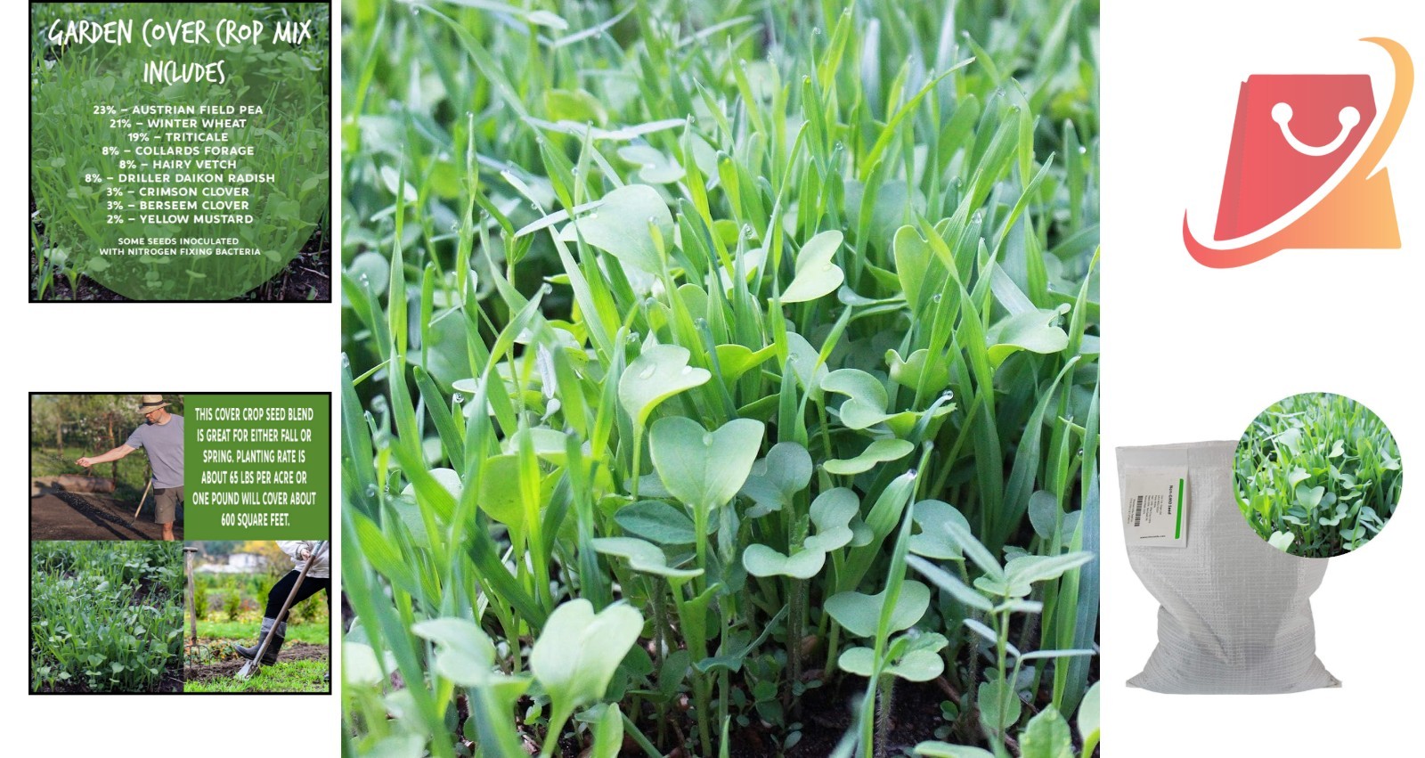 No-Till Cover Crop Seed Mix 5 Lb Soil Fertility Germination Garden