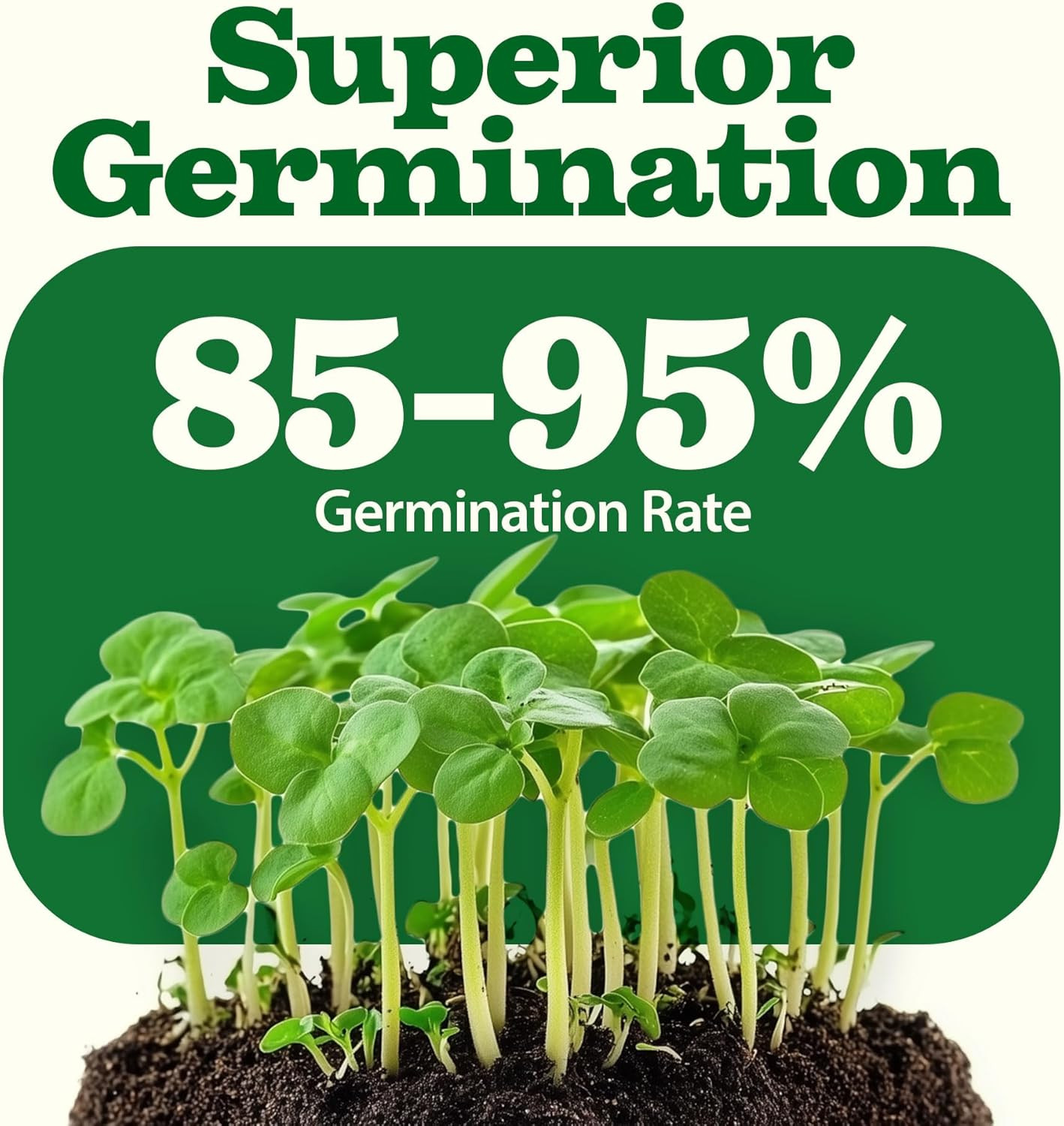 55 Variety Vegetable Seed Pack 28,000+ Heirloom Non-GMO Survival Garden Kit