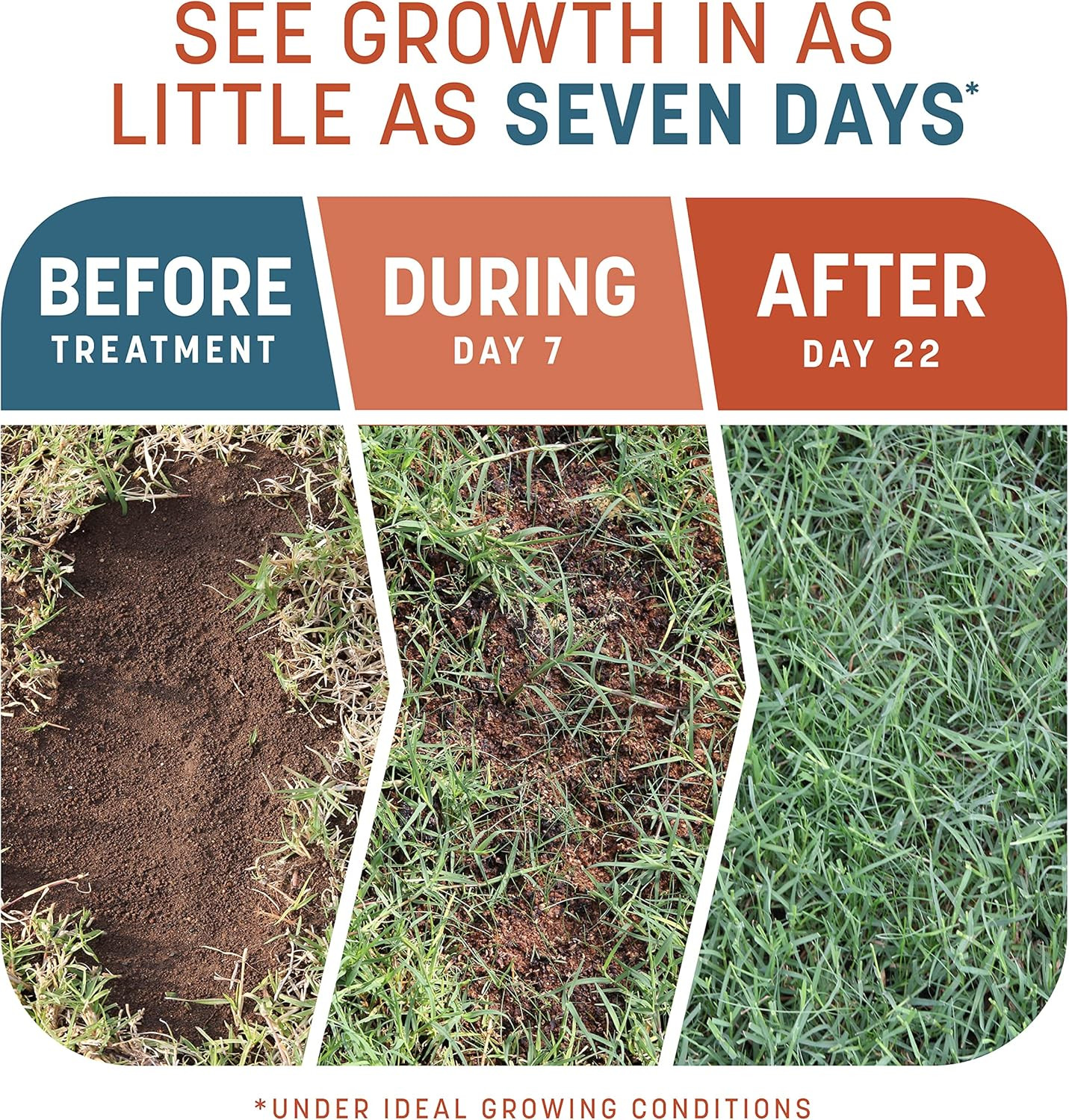 Smart Patch Bermudagrass 10Lb 200 Sq. Ft. Grass Seed Bare Spot Repair with Mulch