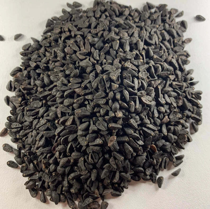 1 g Heavenly Blue Morning Glory [Ipomoea Tricolor] Seeds