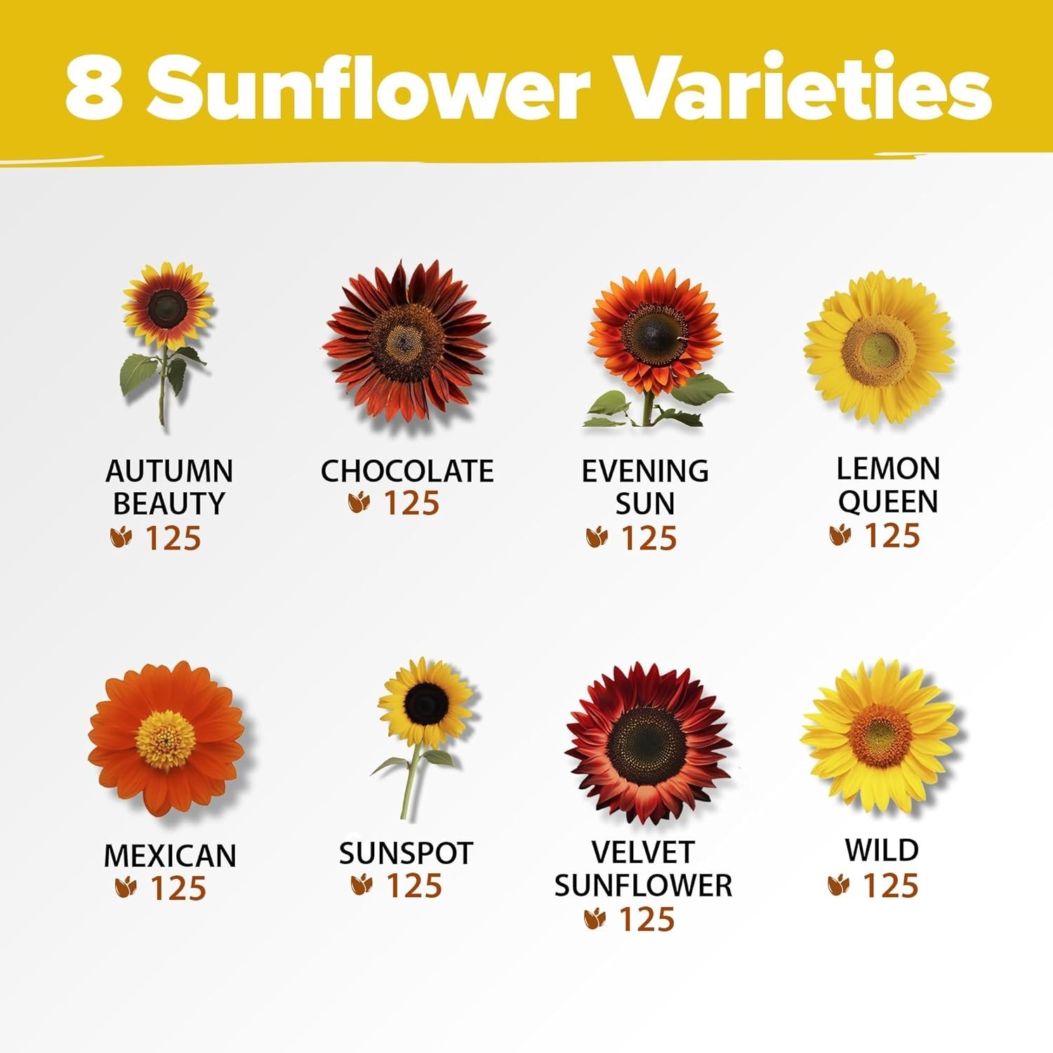 Vibrant Sunflower Garden Set: 1000+ Heirloom Seeds Across 8 Stunning Varieties