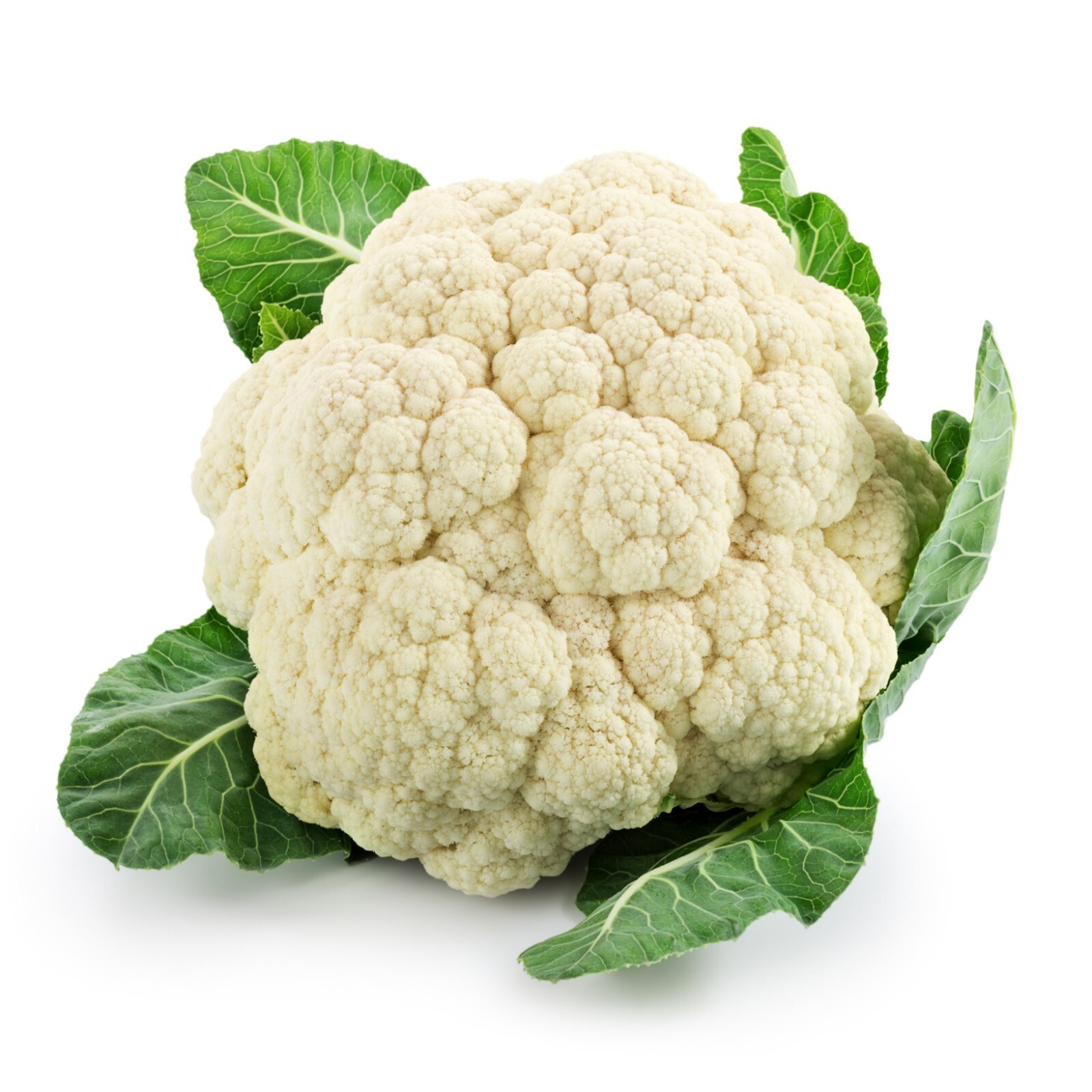 Cauliflower Seeds – Snowball