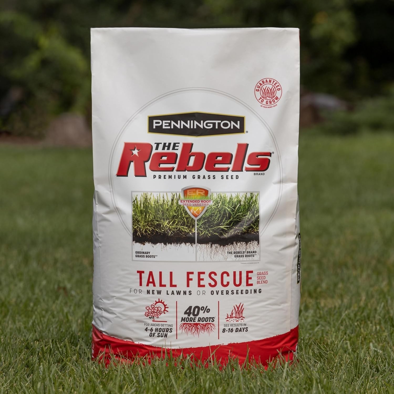 The Rebels Tall Fescue Grass Seed Mix, 7 lb – Drought Resistant for Strong Roots