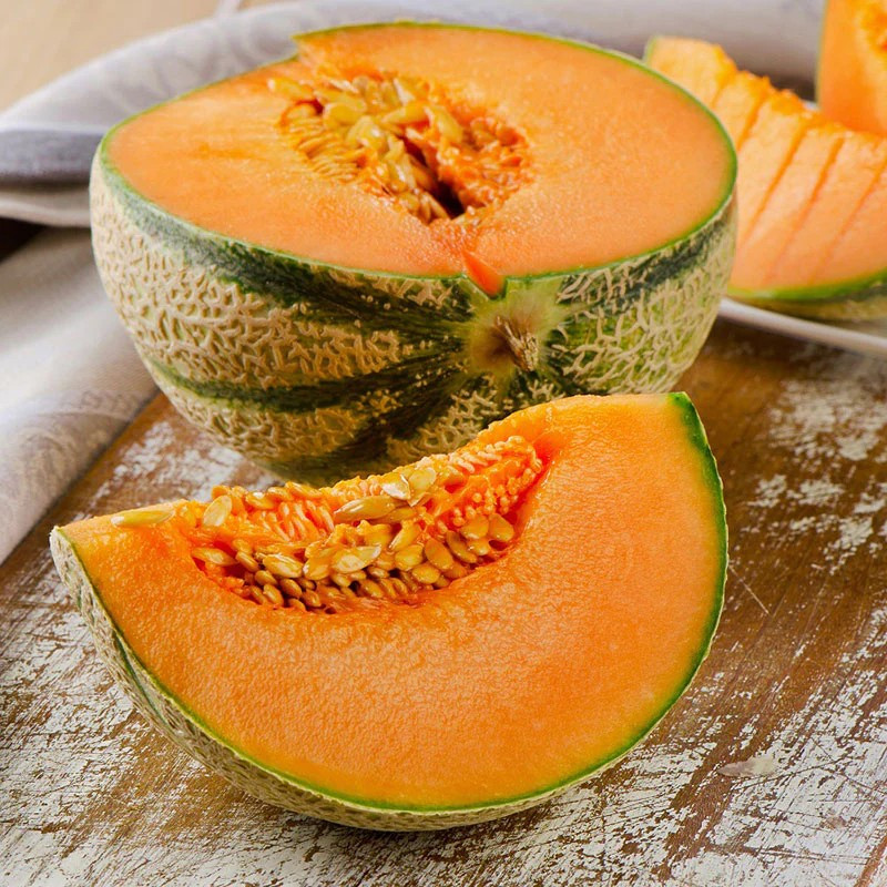 50+ CHARENTAIS MELON / CANTALOUPE — SWEET — HEIRLOOM — ORGANIC ——— RARE