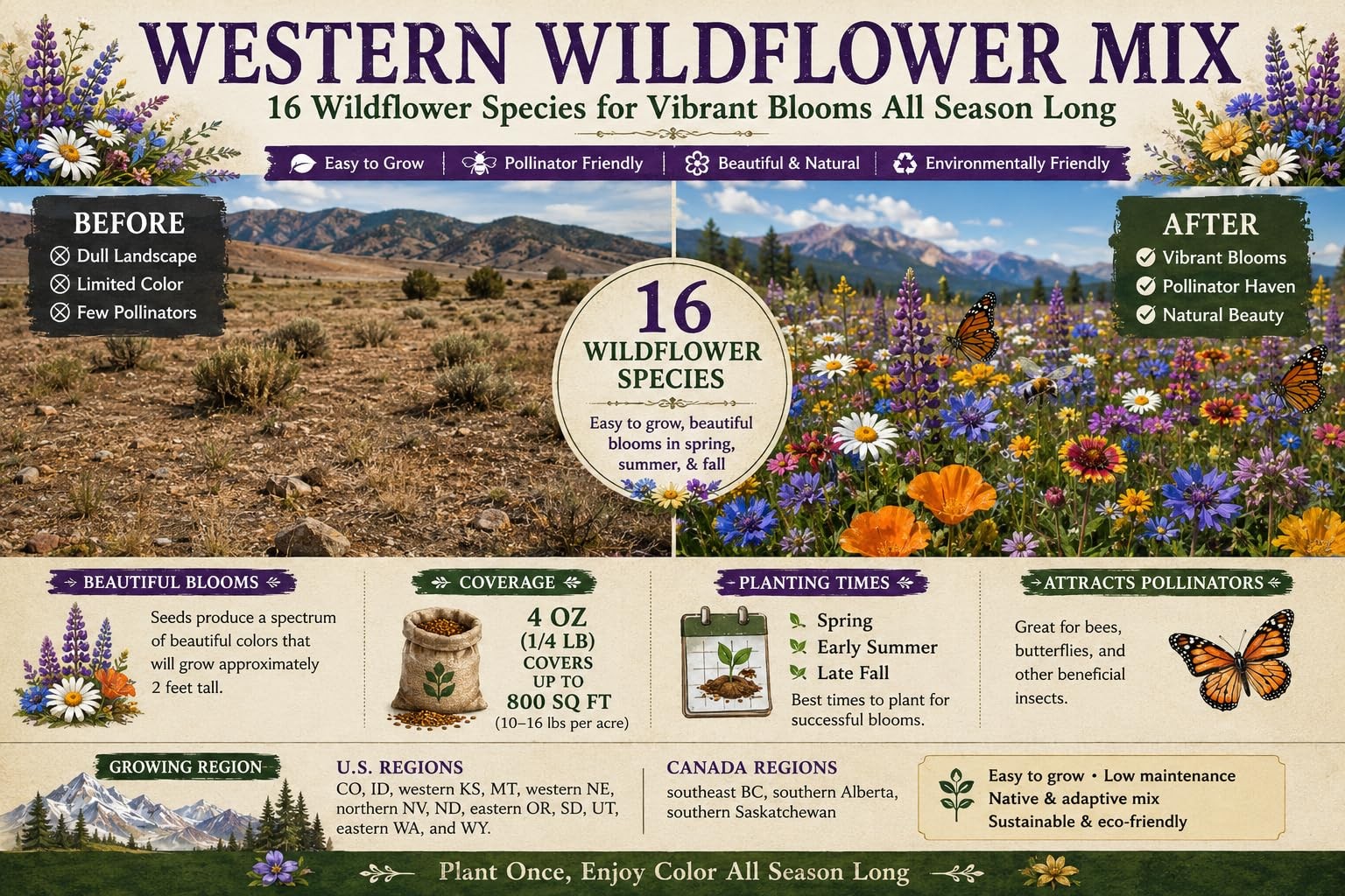 Western Wildflower Seed Mix – 16 Annual & Perennial Species, 1/4lb Covers Up …