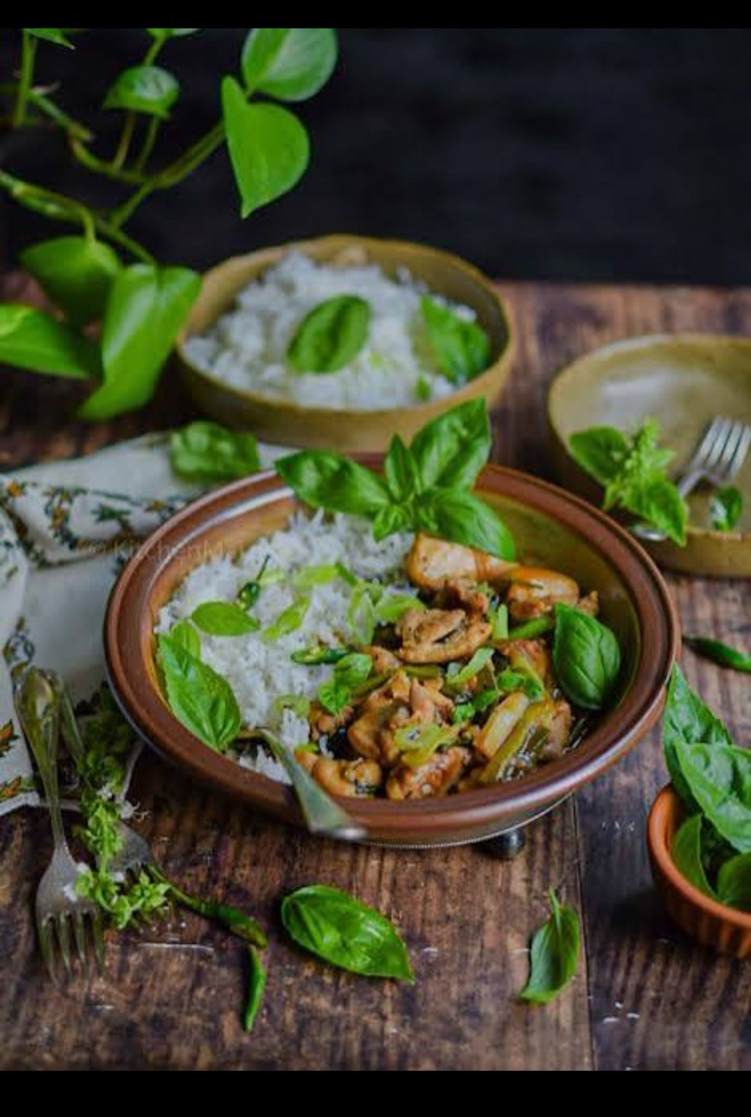 Genovese Basil Seeds 🍀| NON-GMO Basil Seeds | Fresh Heirloom Garden Seeds📍100+