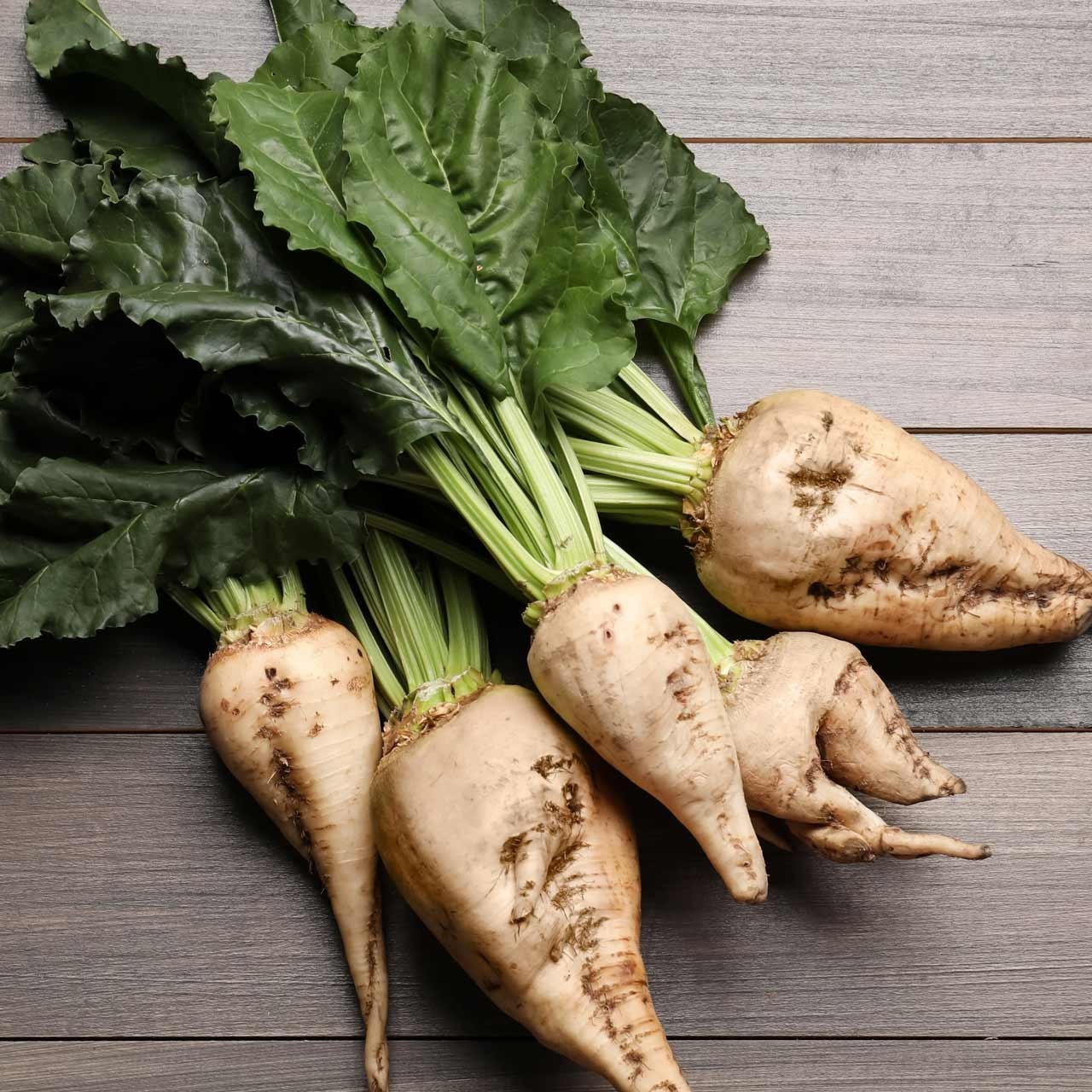 SUGAR BEET SEEDS 2 grams 100+seeds survival food GARDEN GROW healthy VEGETABLES